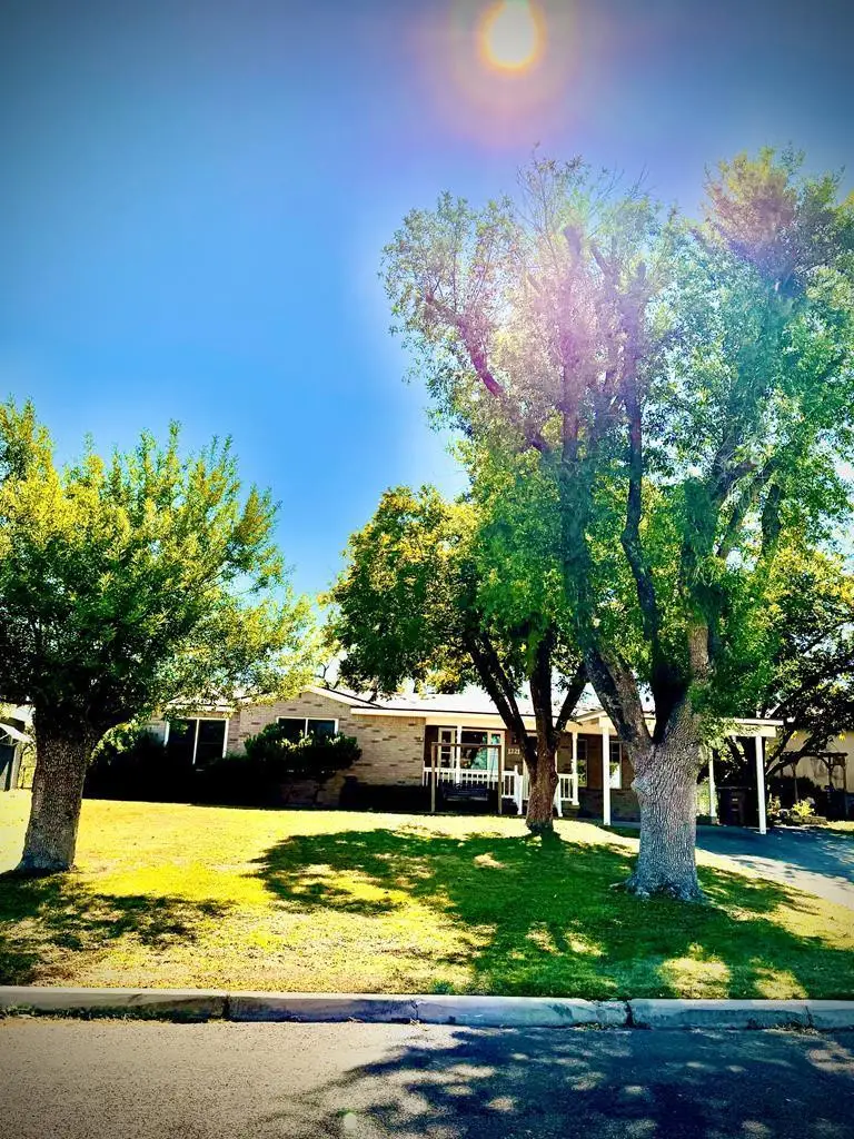 1221 Forest Park Avenue, San Angelo, TX 76901 - #2