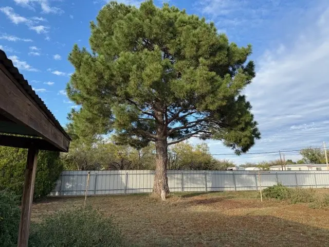 10094 Cottontail Lane, San Angelo, TX 76901 - Image #2