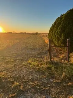 8939 Petite Lane, San Angelo, TX 76905 - Image #2