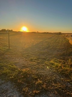 8939 Petite Lane, San Angelo, TX 76905 - Image #3