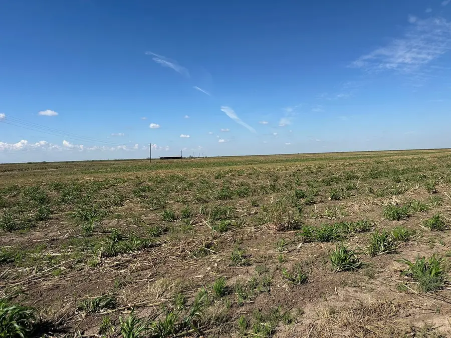 850 County Road 425, Eldorado, TX 76936 - Image #3