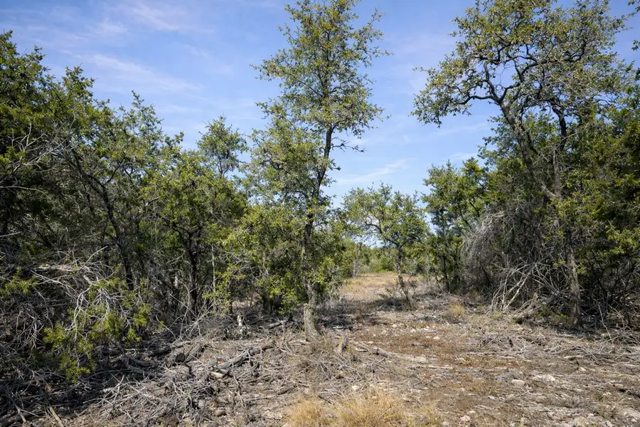 Address Withheld By Seller, Johnson City, TX 78636 - #2