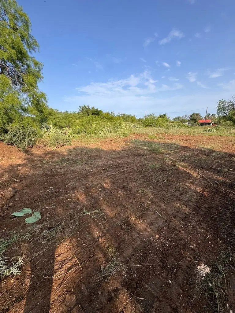 1314 Veck St, San Angelo, TX 76903 - Image #3