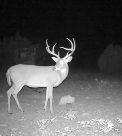 3420 NE County Rd 2596, Sonora, TX 76950 - Image #2