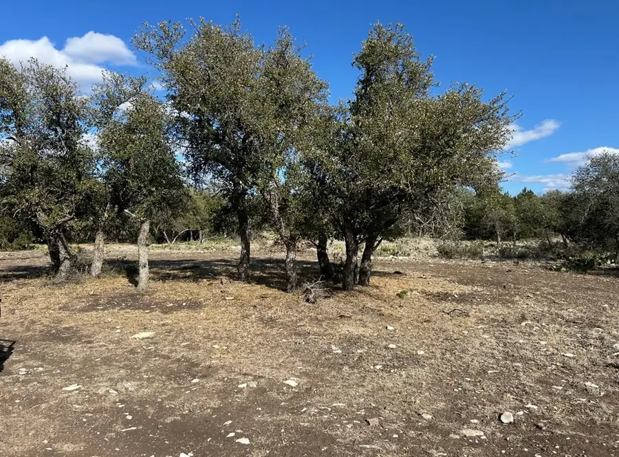 1512 Persimmon Rd, Eldorado, TX 76936 - Image #2