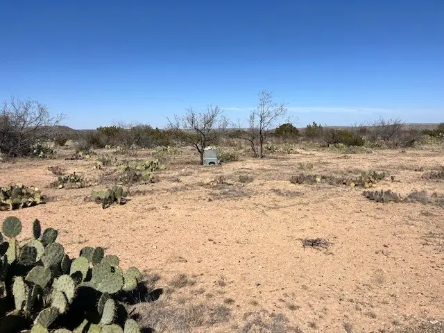 23 Timber Point Rd, Ozona, TX 76943 - Image #2