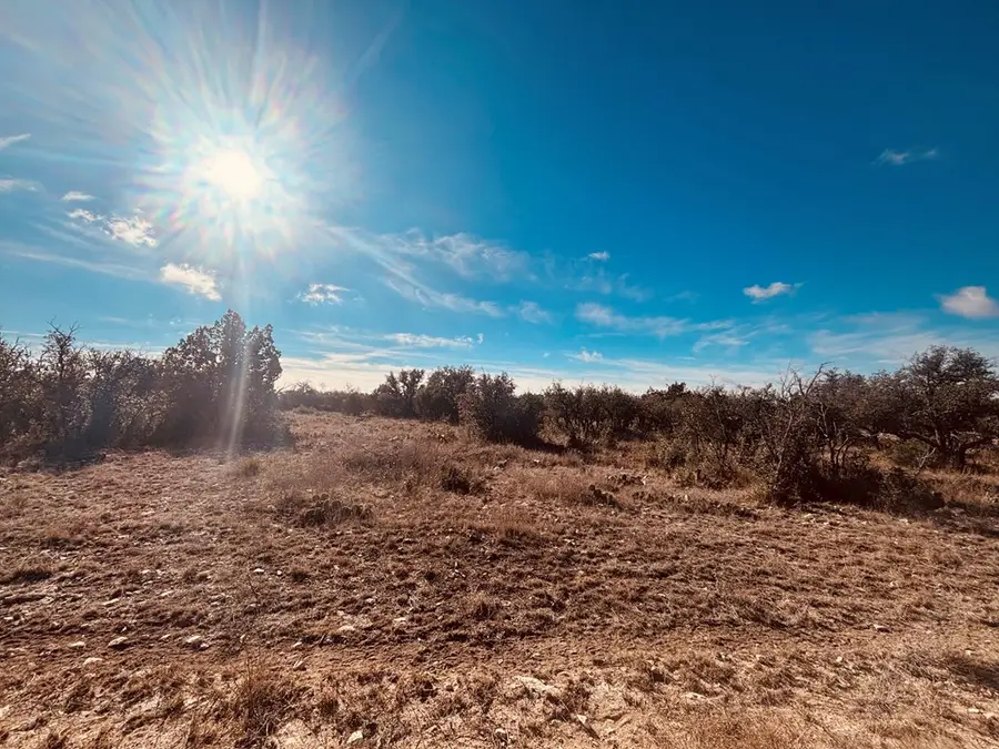 320 Turkey Run Rd, Eldorado, TX 76936 - Image #2