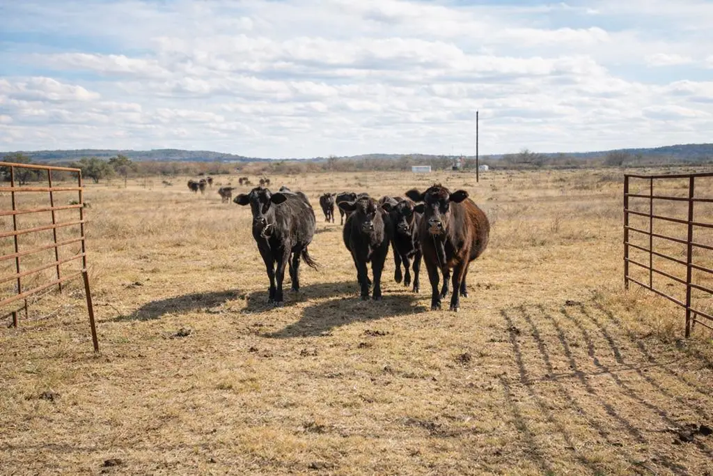 Address Withheld By Seller, Marble Falls, TX 78654 - Image #1