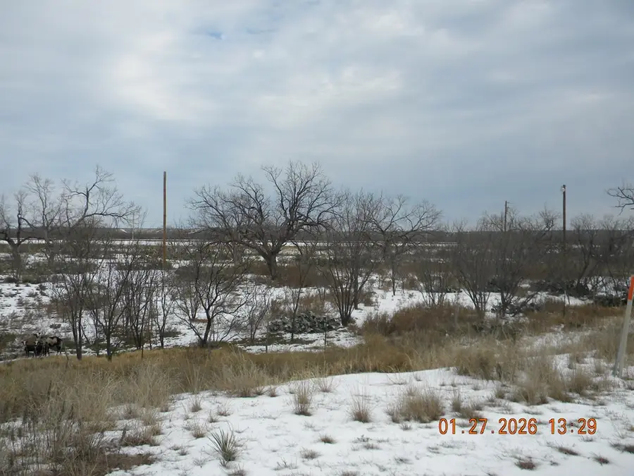 13856 Old Sterling City Hwy, Water Valley, TX 76958 - Image #3