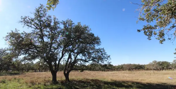 1519 Mesquite Lane, Christoval, TX 76935