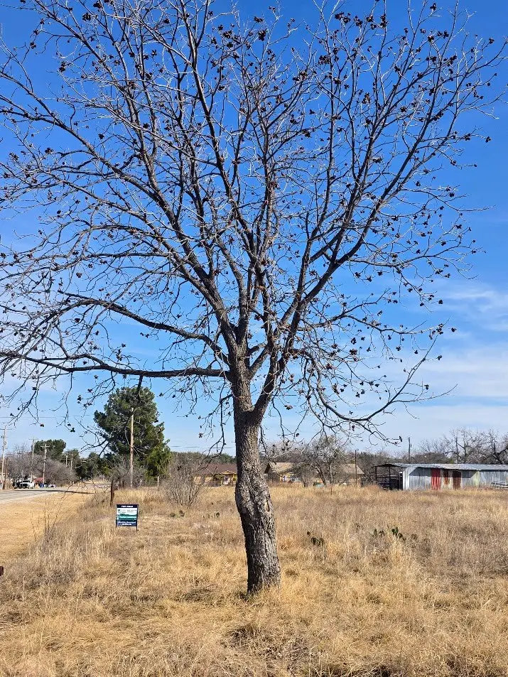 415 W Oak Ave, Mertzon, TX 76941 - #3