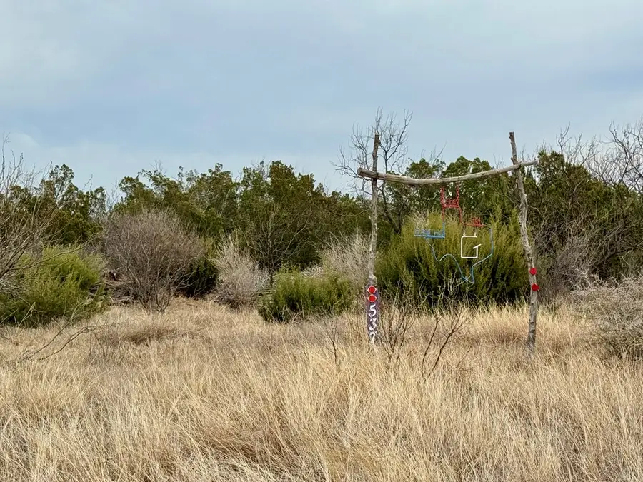 537 Lone Mills Rd, Robert Lee, TX 76945 - #3