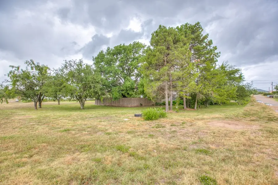 405 W James Avenue, Mertzon, TX 76941 - #2