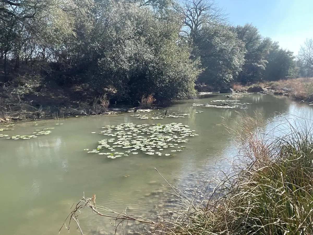 Tbd Hwy 67 Highway, Mertzon, TX 76941 - #1