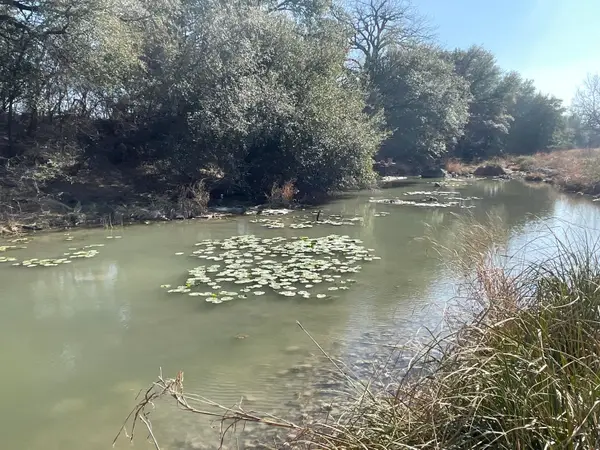 Tbd Hwy 67 Highway, Mertzon, TX 76941