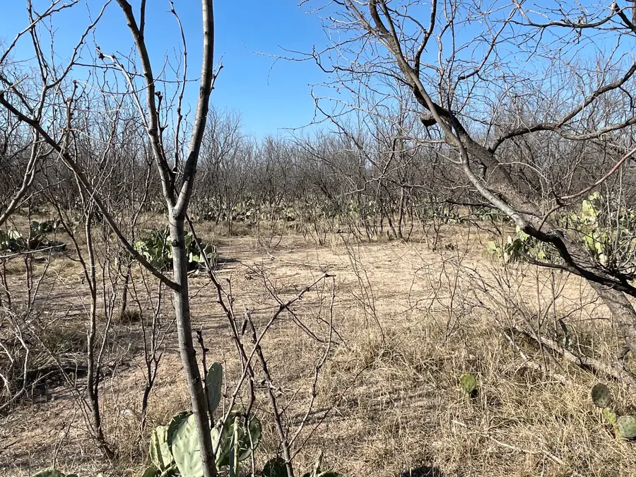 Tbd Hwy 67 Highway, Mertzon, TX 76941 - #3