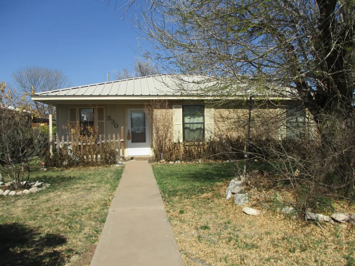 530 E 44th Street, San Angelo, TX 76903 - #1