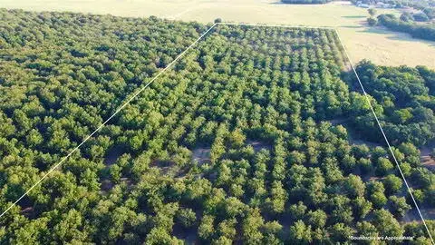 N/a Tx-16 Highway, De Leon, TX 76444 - #3