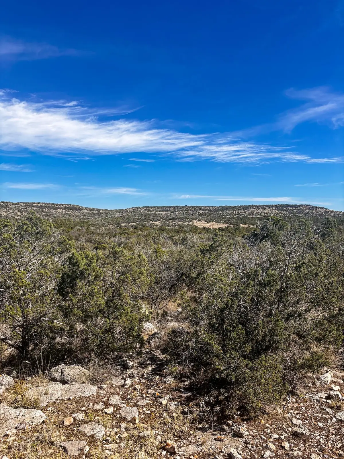 Tract 11 Eastwood Road, Comstock, TX 78837 - #1