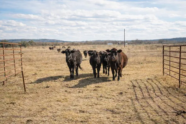 Timber Ridge Timber Ridge Road, Marble Falls, TX 78654