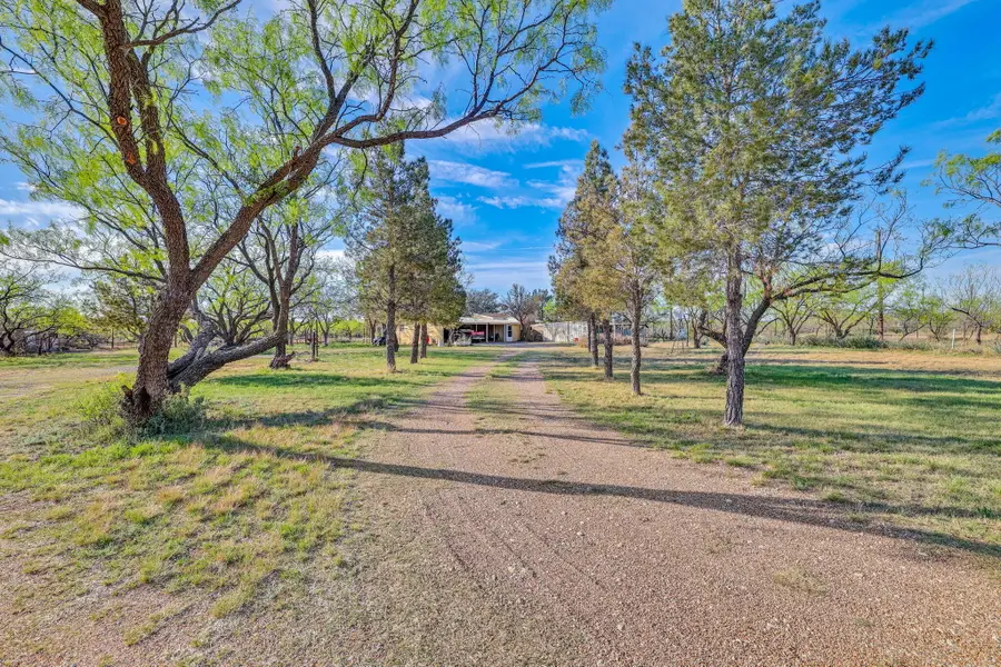 10198 Deer Valley Court, Carlsbad, TX 76934 - #2