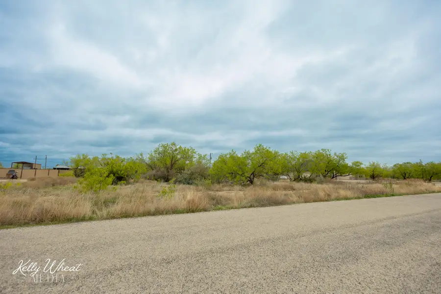 1329 Stone Ledge Lane, San Angelo, TX 76904 - #3