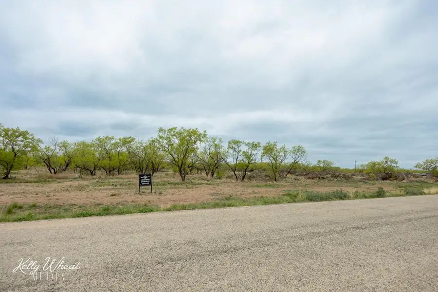 1437 Stone Ledge Lane, San Angelo, TX 76904 - #2