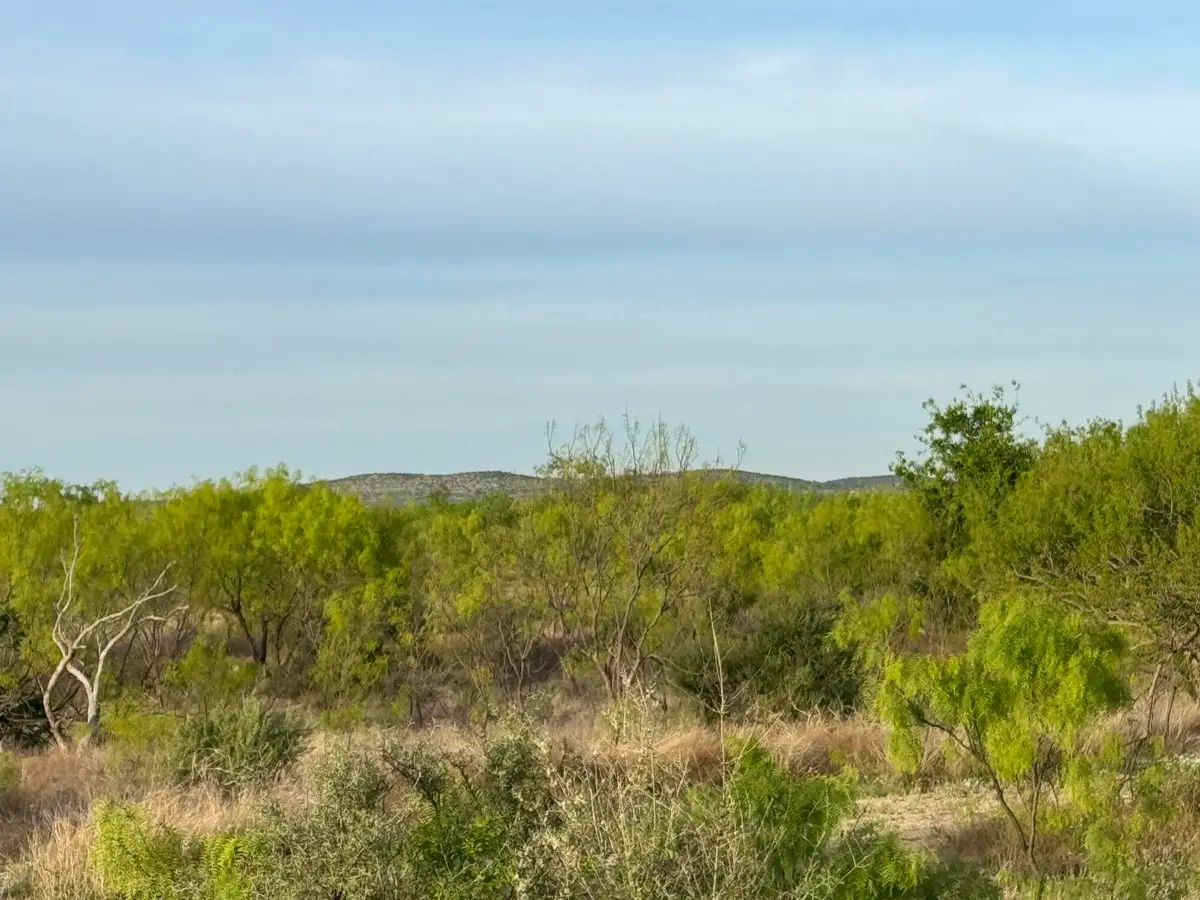 9544 W Grape Creek Road, San Angelo, TX 76901 - #1