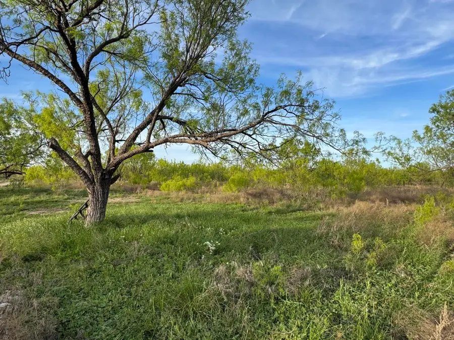9544 W Grape Creek Road, San Angelo, TX 76901 - #3
