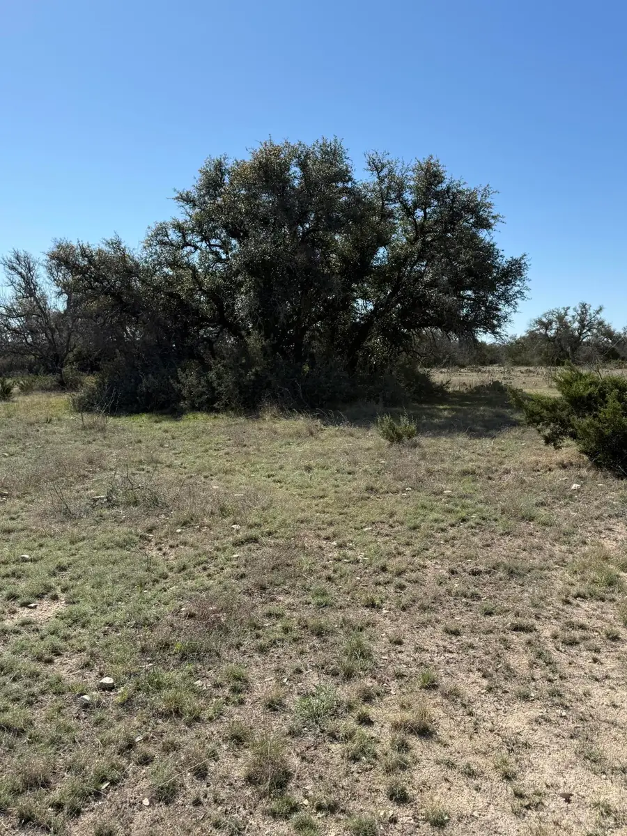 713 Persimmon Road, Eldorado, TX 76936 - #2