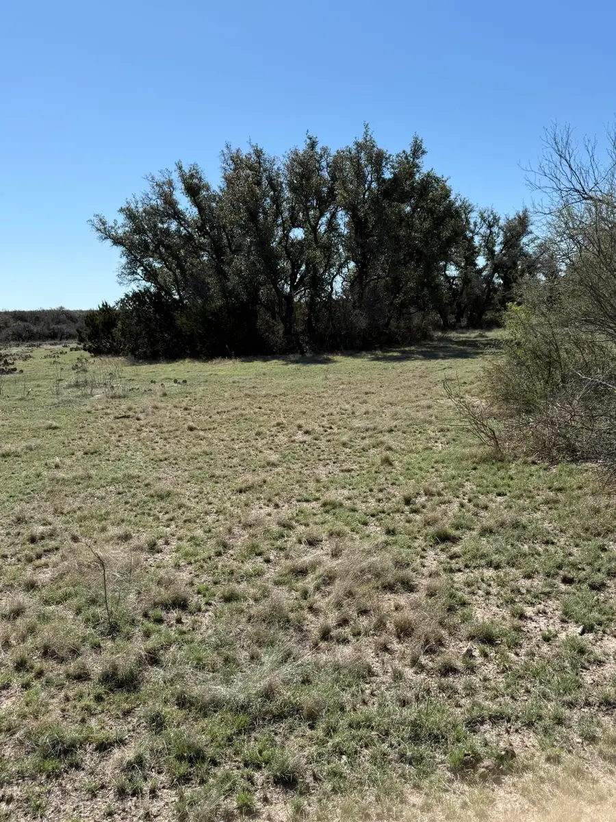 713 Persimmon Road, Eldorado, TX 76936 - #3