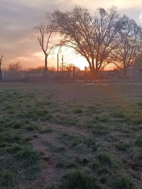 11998 Farm To Market Rd 2166, San Angelo, TX 76904 - #2