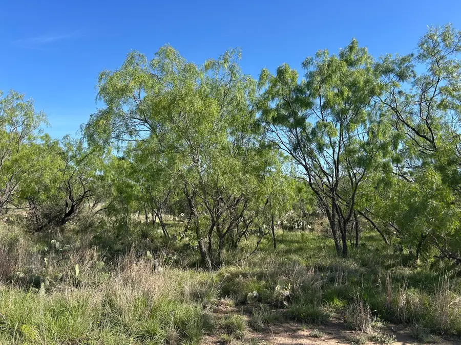 12578 Westcross Lane, San Angelo, TX 76904 - #3