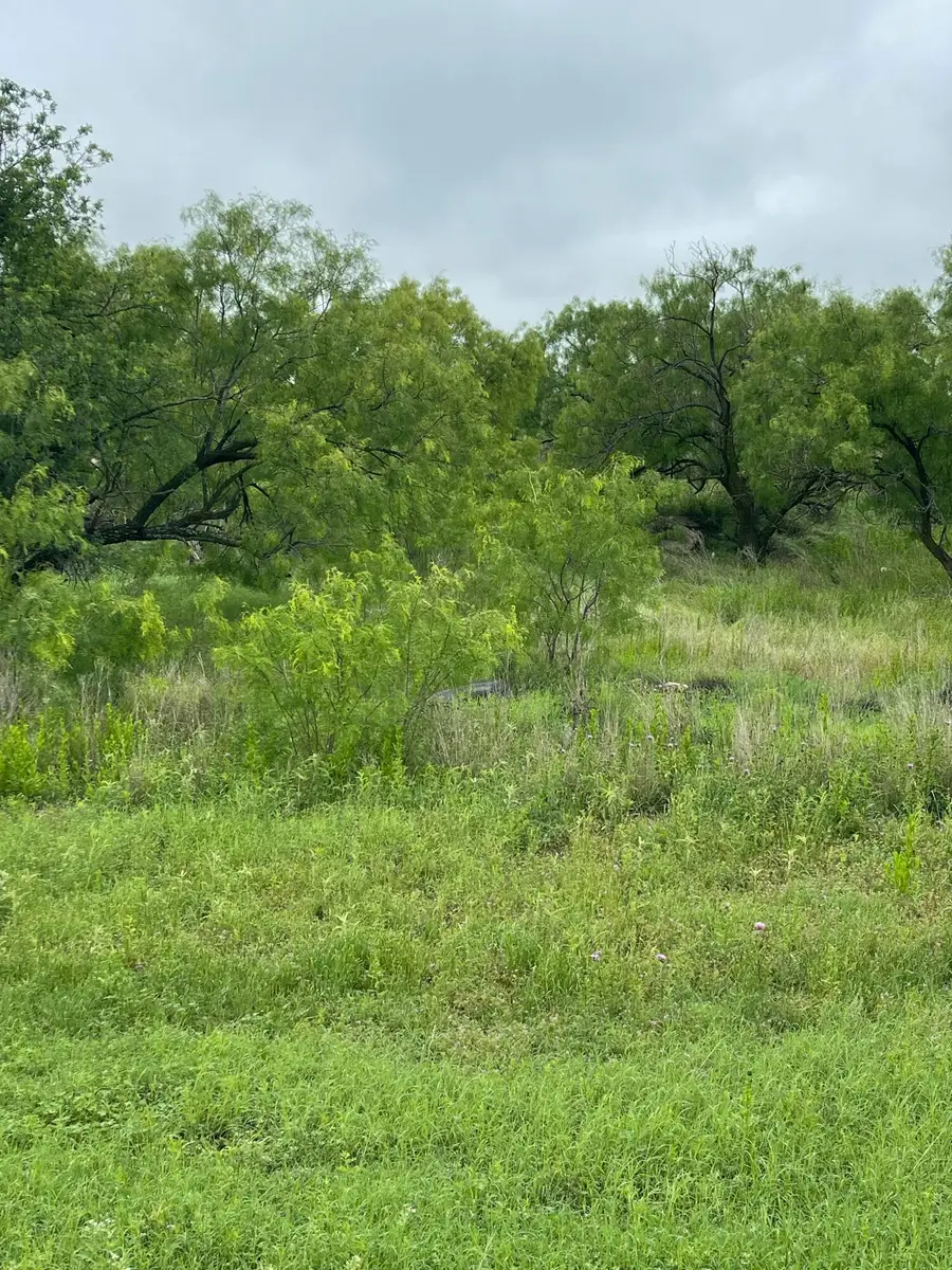 549 Lake View Heroes Drive, San Angelo, TX 76903 - #2
