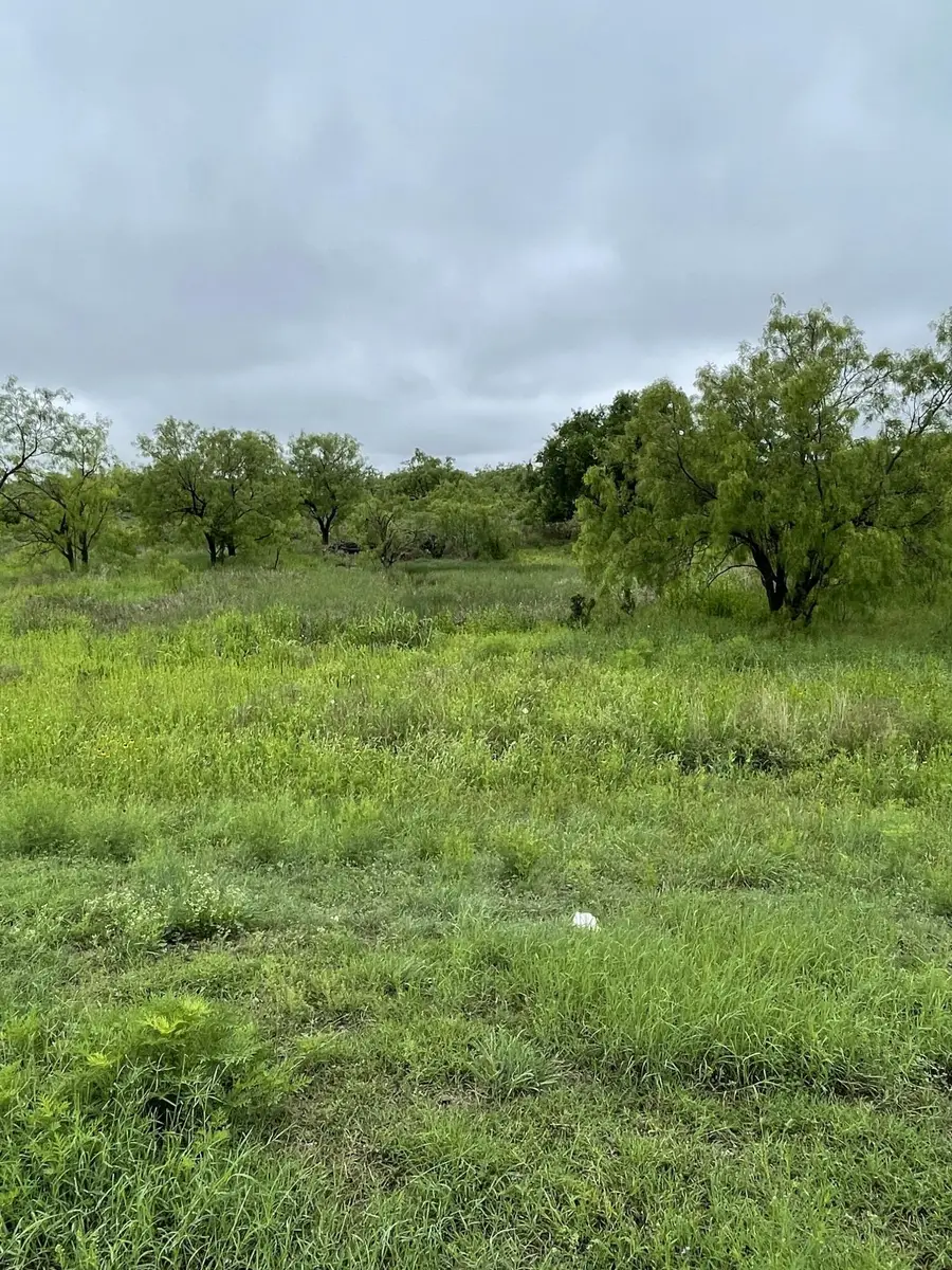 525 Lake View Heroes Drive, San Angelo, TX 76903 - #3