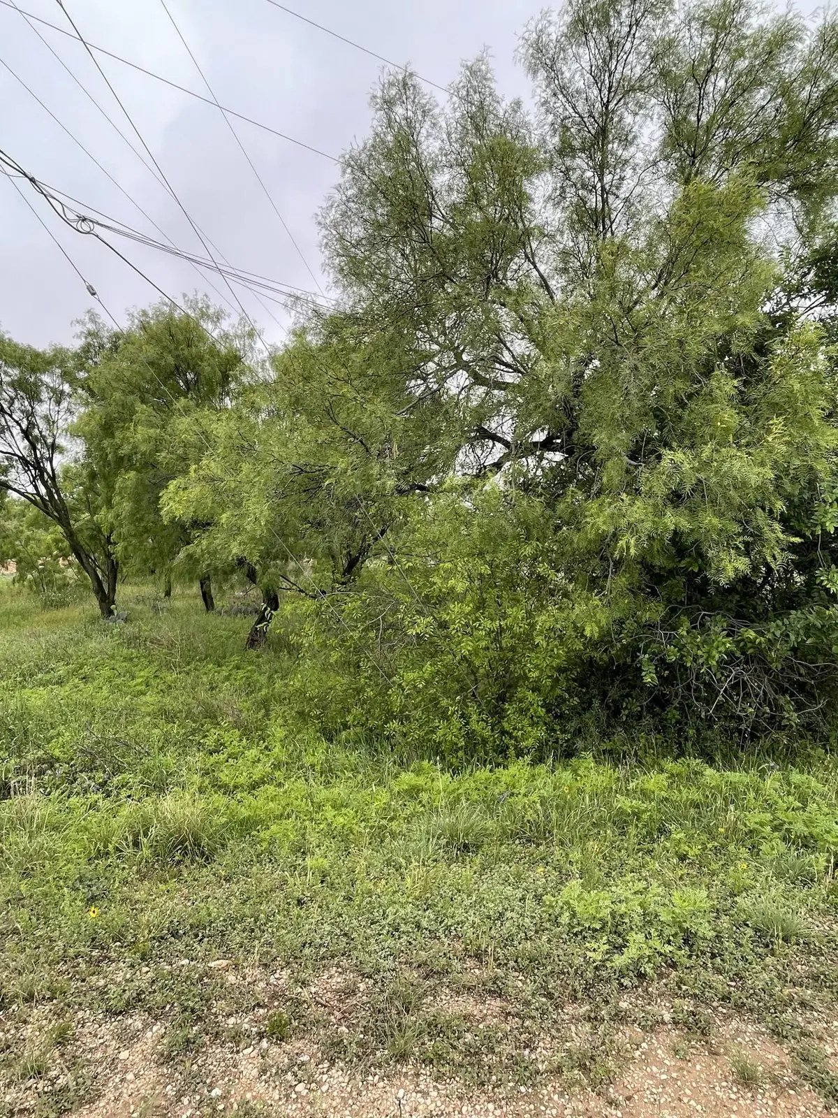 517 Lake View Heroes Drive, San Angelo, TX 76903 - #1