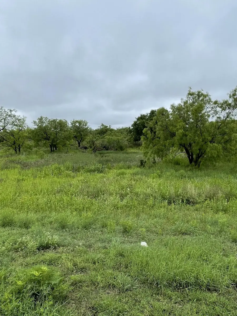 501 Lake View Heroes Drive, San Angelo, TX 76903 - #2