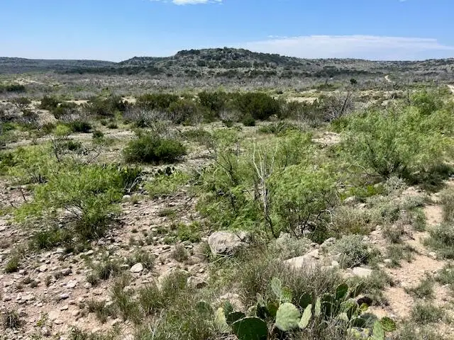 . Deer Run Road, Ozona, TX 76943 - #1