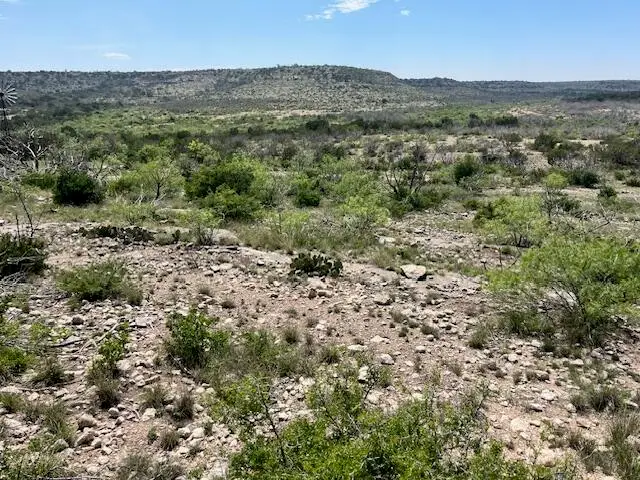 . Deer Run Road, Ozona, TX 76943 - #2