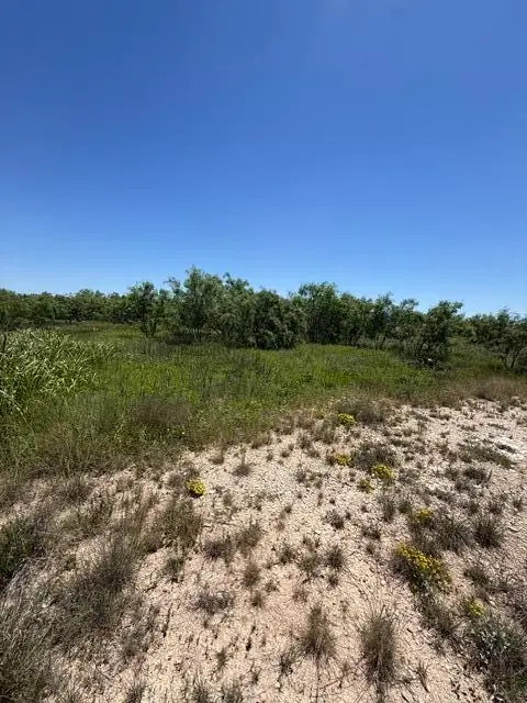 4436 N Bryant Boulevard, San Angelo, TX 76903 - #2