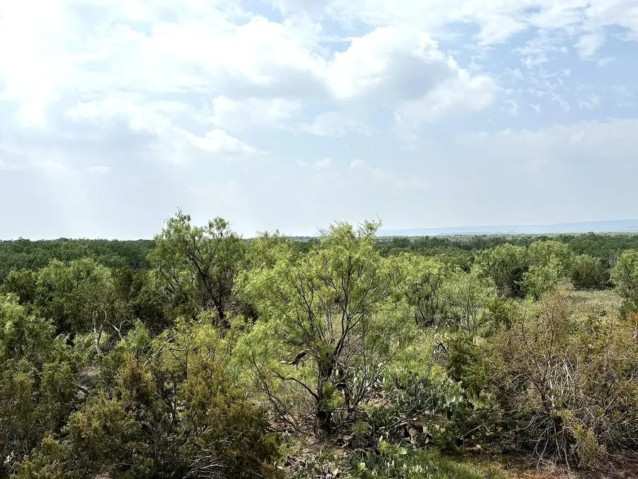377 Axis Lp, Robert Lee, TX 76945 - #2