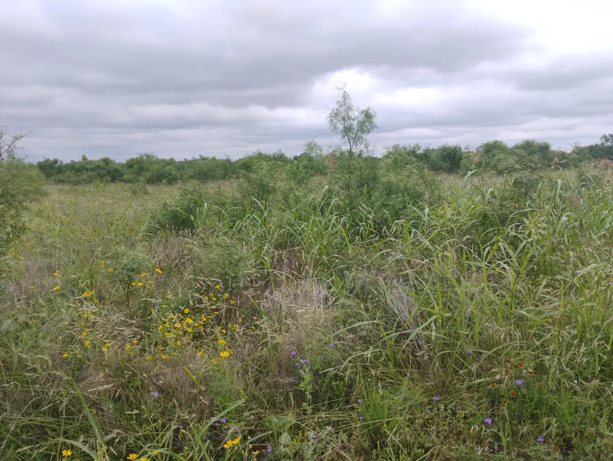0 N Highway 87 Us Highway, San Angelo, TX 76901 - #1