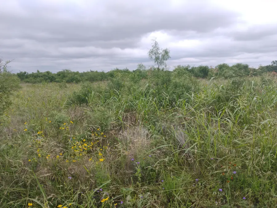 0 N Highway 87 Us Highway, San Angelo, TX 76901 - #2
