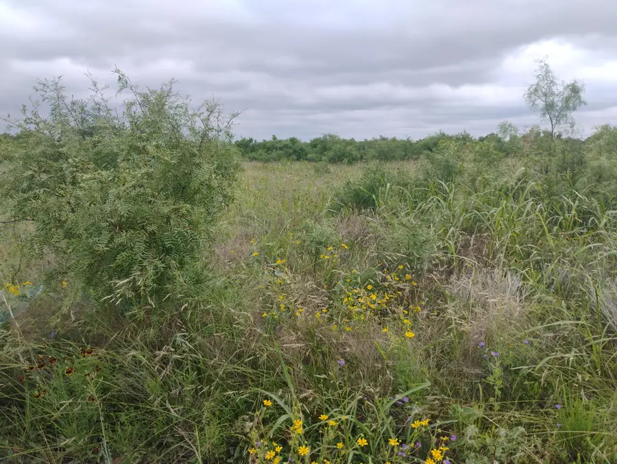 0 N Highway 87 Us Highway, San Angelo, TX 76901 - #3