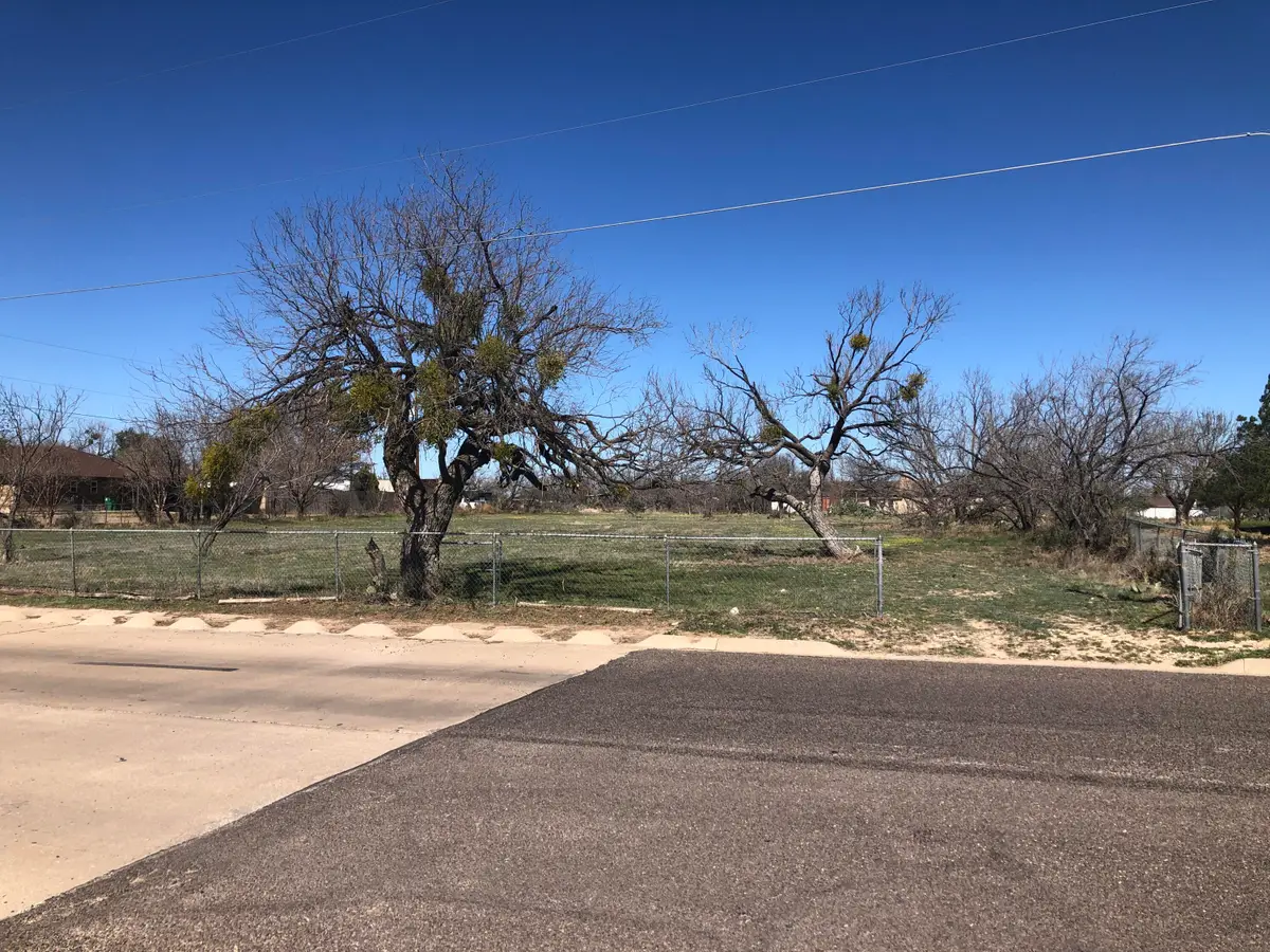 3932 Townview Lane, San Angelo, TX 76901 - #1