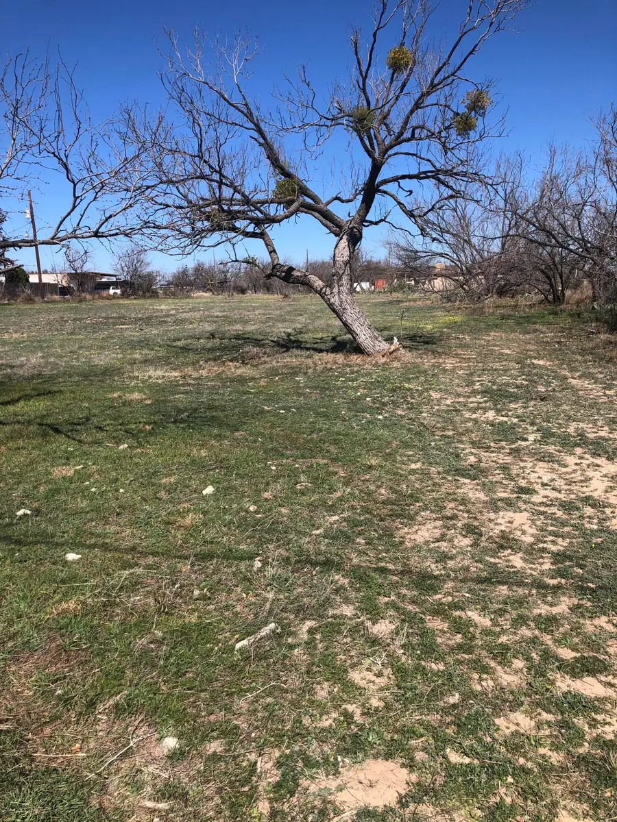 3932 Townview Lane, San Angelo, TX 76901 - #2