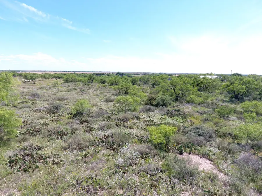 7343 Twins Lane, Miles, TX 76861 - #3