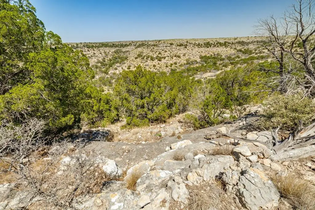 . Deer Run Road, Ozona, TX 76943 - #1