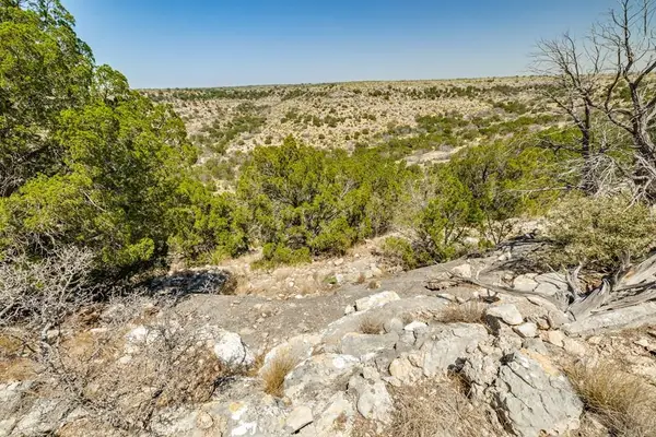 . Deer Run Road, Ozona, TX 76943