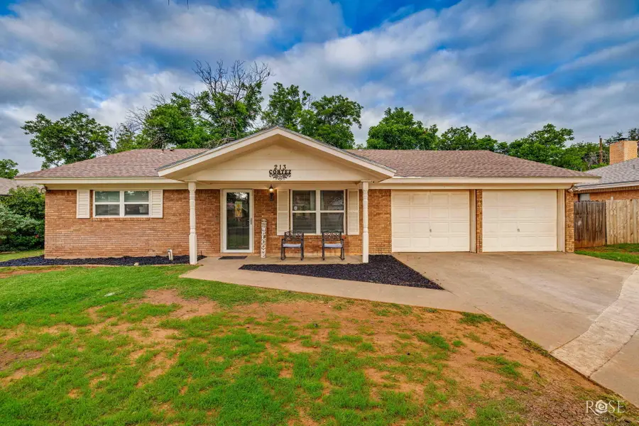 213 Twin Oaks Drive, San Angelo, TX 76901 - #3